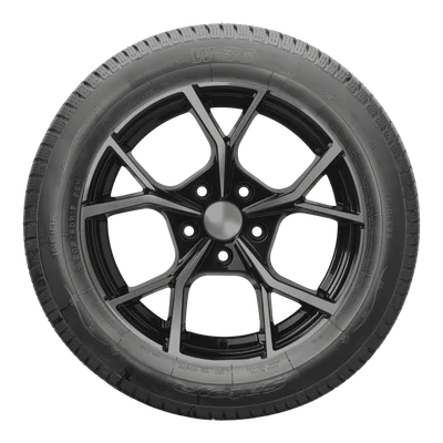 Satoya W-36